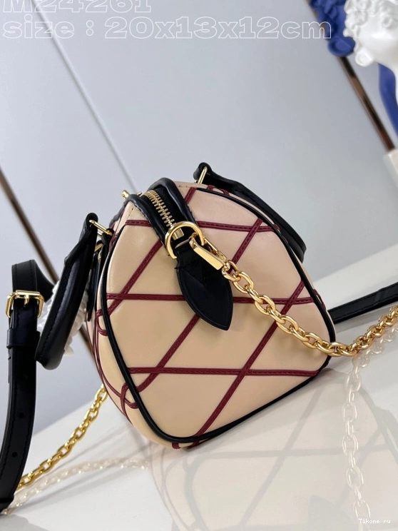 Cheap SPEEDY BANDOULIÈRE LOUIS VUITTON 20 0820